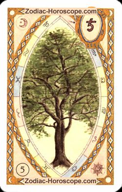 The tree, monthly Love and Health horoscope May Libra