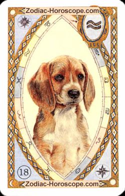 The dog, monthly Love and Health horoscope March Libra