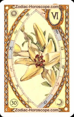 The lily, monthly Love and Health horoscope March Libra