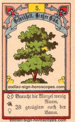 The tree, monthly Libra horoscope September