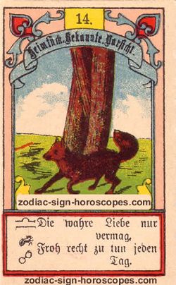 The fox, monthly Libra horoscope December