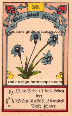 The lily, monthly Libra horoscope September